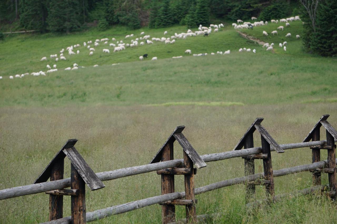 Gorska Magia - Goralskie Domki Premium Kościelisko Exterior foto